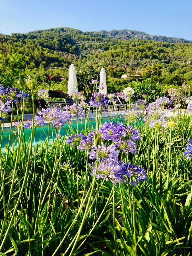 Can Busquera Villa Soller Luaran gambar